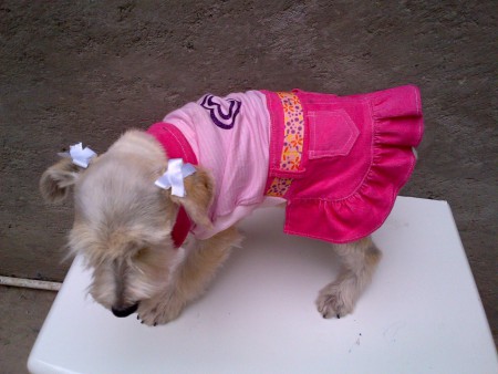 vestido de mesclilla